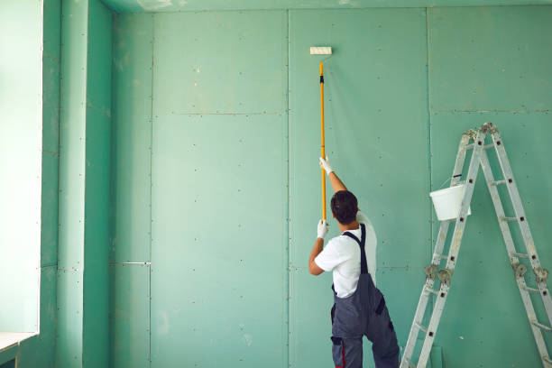 Professional Dry wall and painting in Lincoln, IL